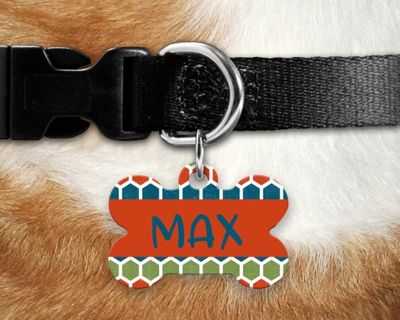 Green Blue and Orange Pet ID Tag