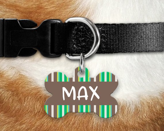 Green Striped Pet ID Tag