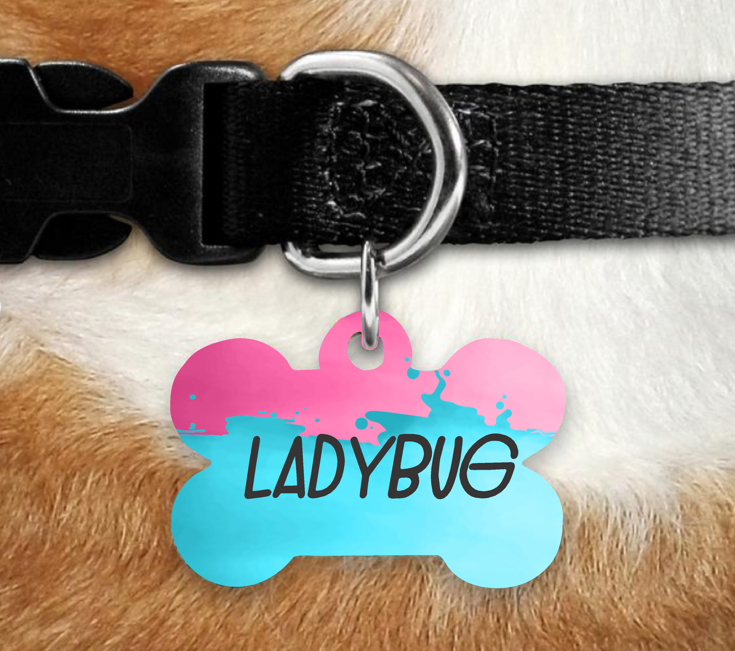 Cotton Candy - Bone Pet ID Tag
