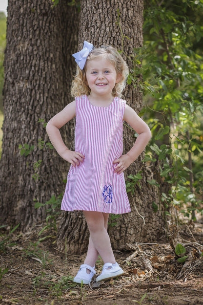 Gingham/Seersucker Jumper Dress Pre-Order; ETA End of September